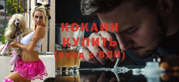 мяу мяу мука Бородино