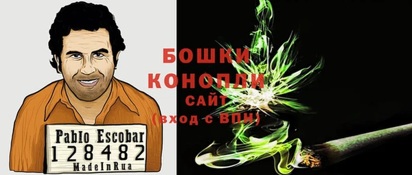 молекула духа Богородск