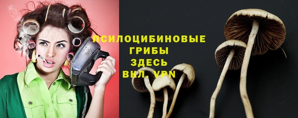 apvp Богородицк