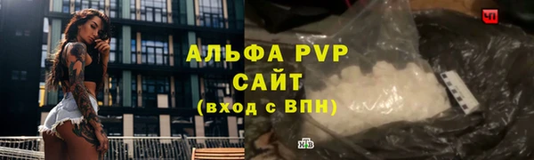 мяу мяу мука Бородино