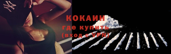 мяу мяу мука Бородино