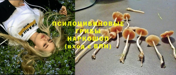 первитин Богданович