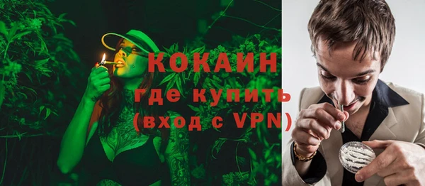 мяу мяу мука Бородино